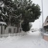 la grande nevicata del febbraio 2012 059